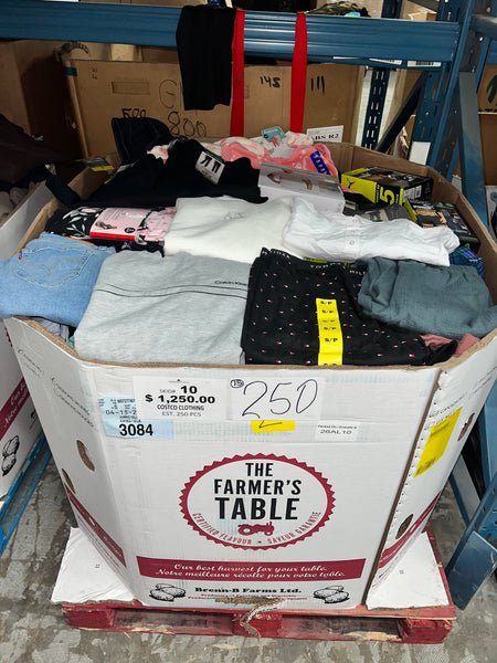 Brand Name Clothings 250pcs